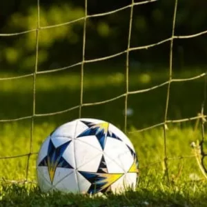soccer-ball-in-front-of-the-net