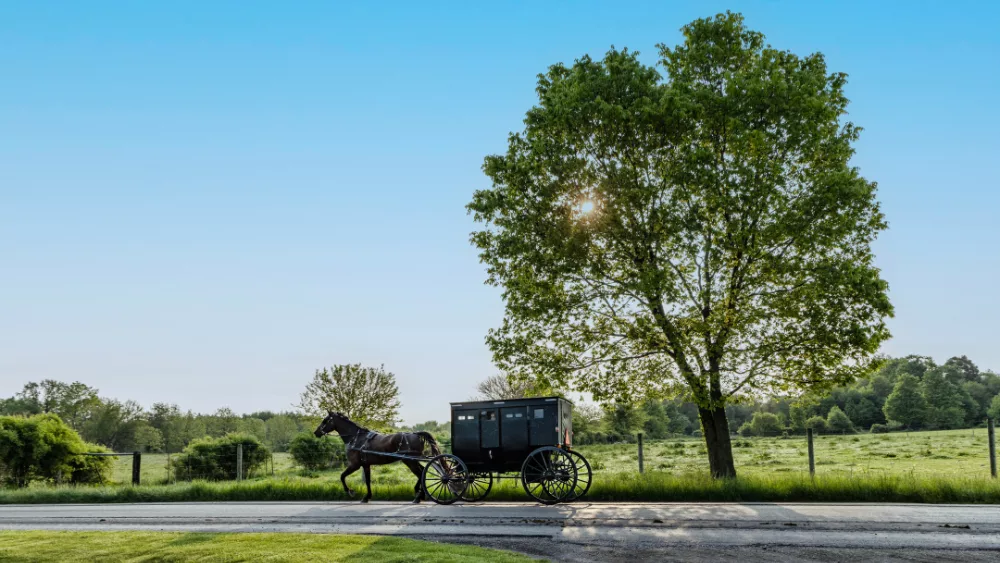 amish-buggy-on-road
