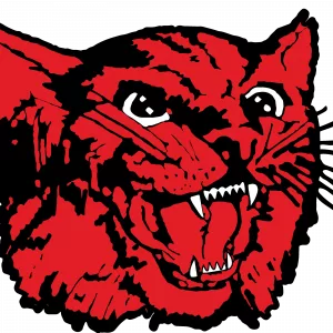 brunswick-r-2-wildcats-2