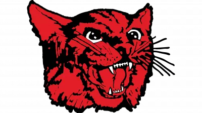 brunswick-r-2-wildcats-2