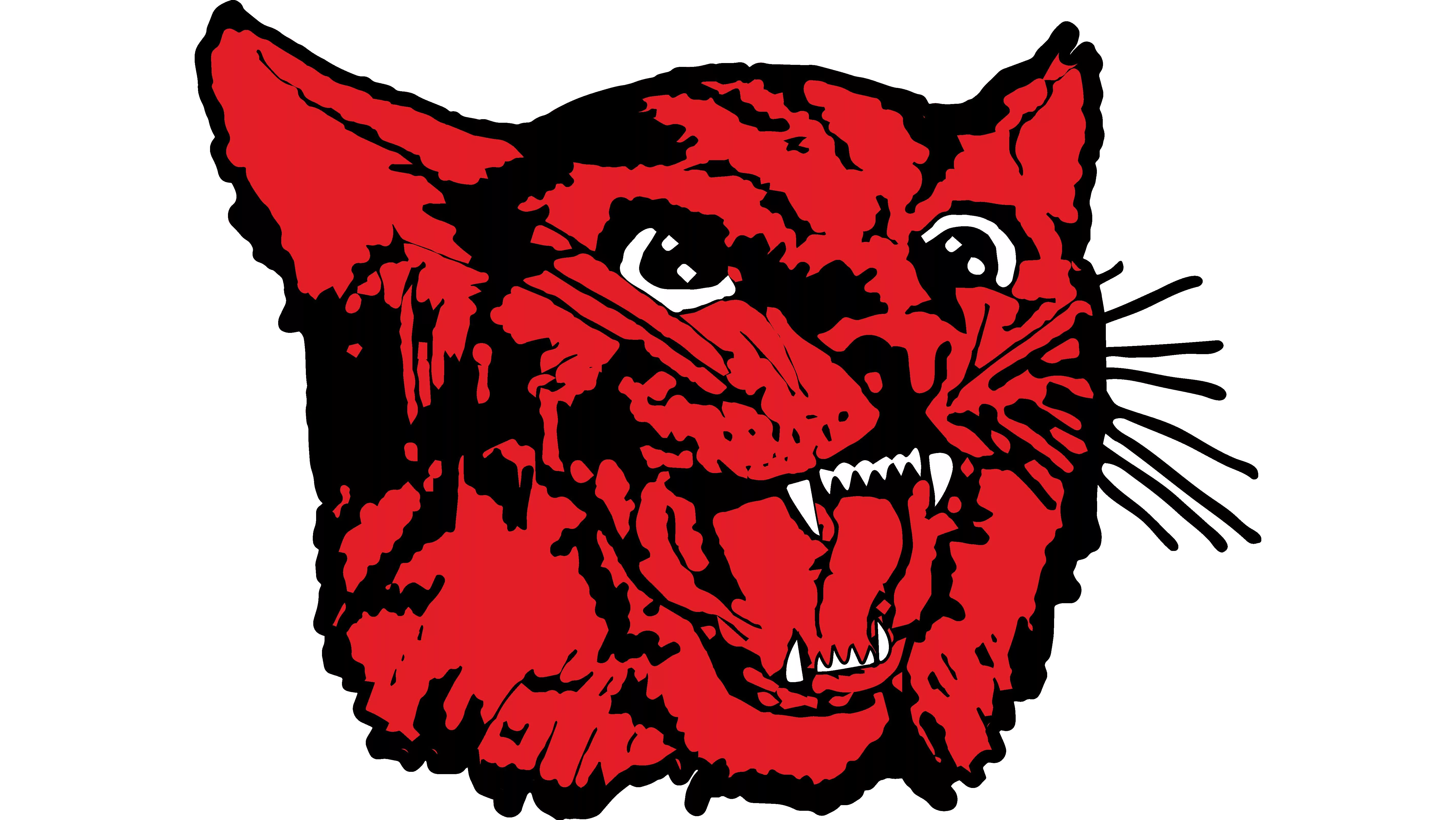 brunswick-r-2-wildcats-2