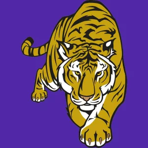 green-ridge-tigers-purple-bg