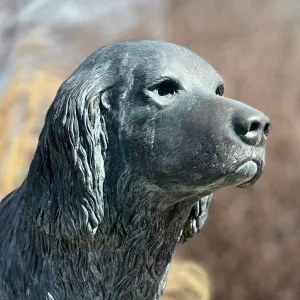 25-0306-jim-the-wonder-dog-statue-blurred-bg