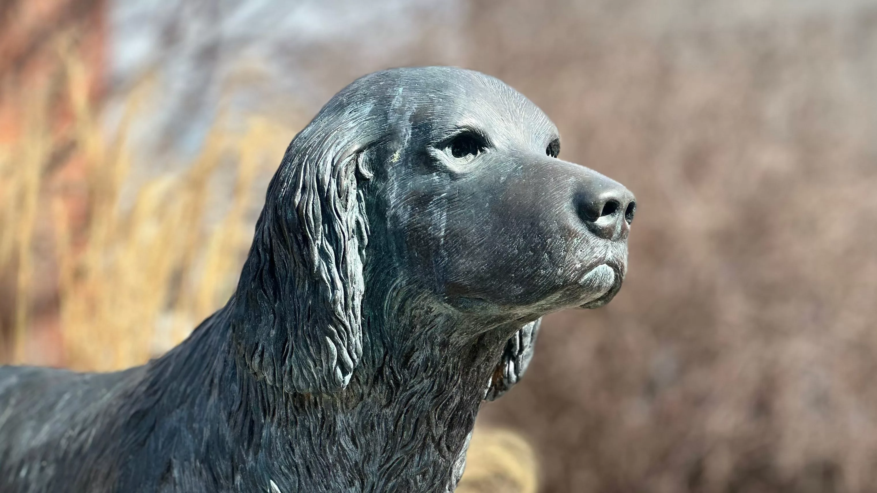 25-0306-jim-the-wonder-dog-statue-blurred-bg