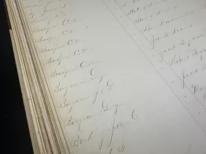 25-0318-salco-digitizing-10-george-bingham-entries