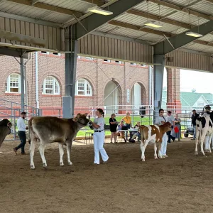 24-0818-msf-supreme-dairy-drive