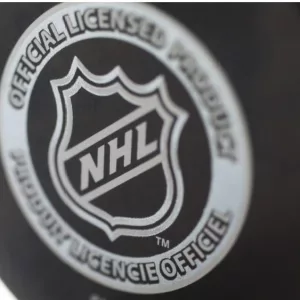 Official game puck from NHL^ National hockey league^ USA