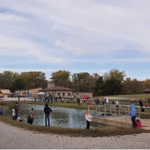 blind-pony-hatchery1