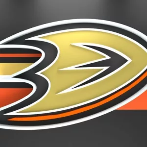 Emblem of the Anaheim Ducks. The Anaheim Ducks are a professional ice hockey team. Logo for presentation or infographics. 3D render. 3D Illustration