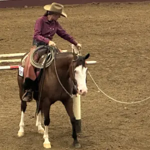 25-0724-msf-horse-ranch-gate