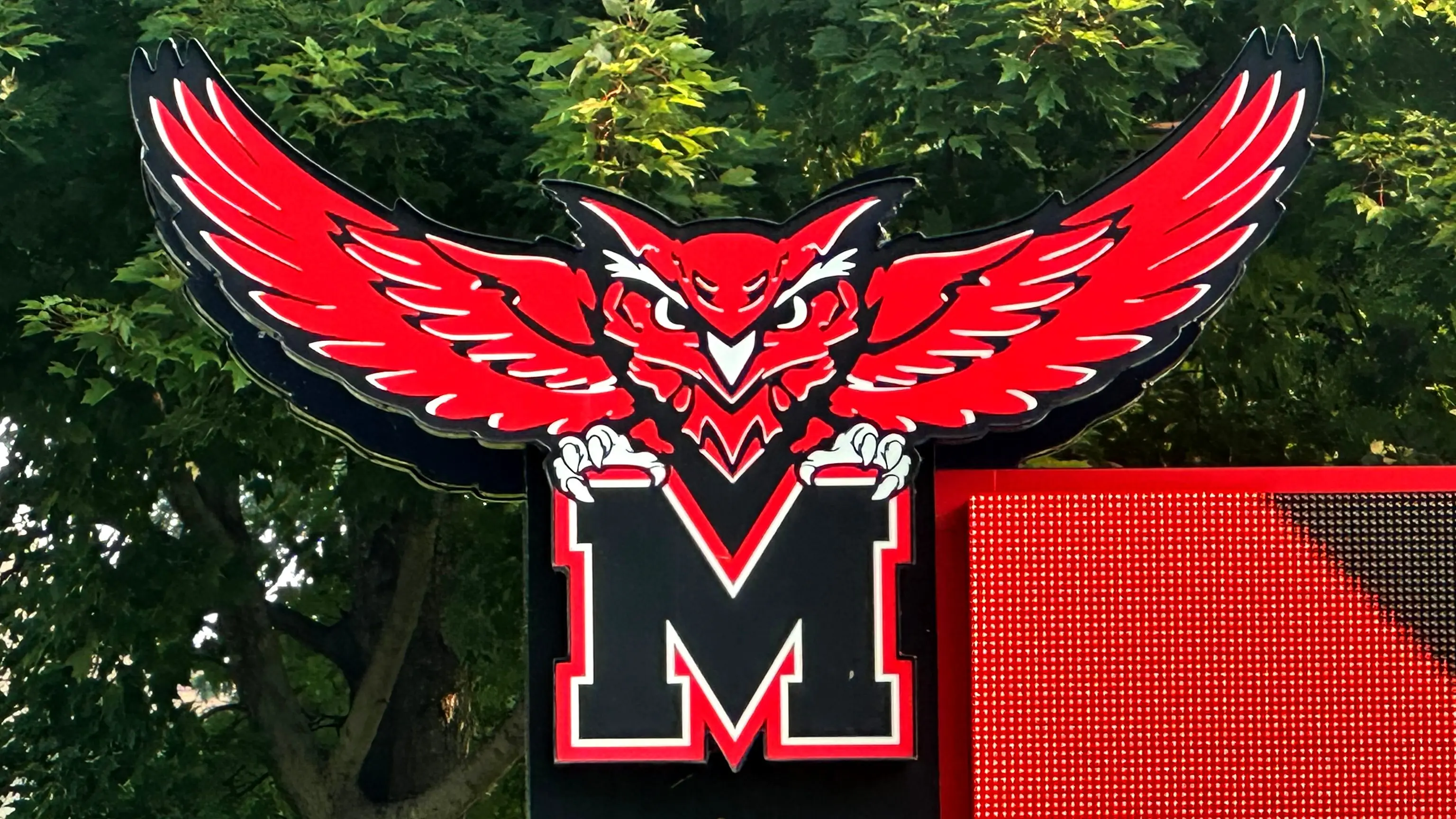 25-0801-marshall-owl-on-district-sign-closer