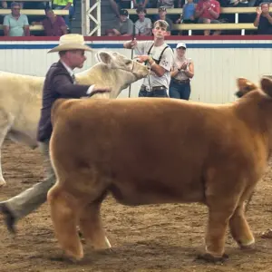 25-0812-gc-steer-drive-the-slap