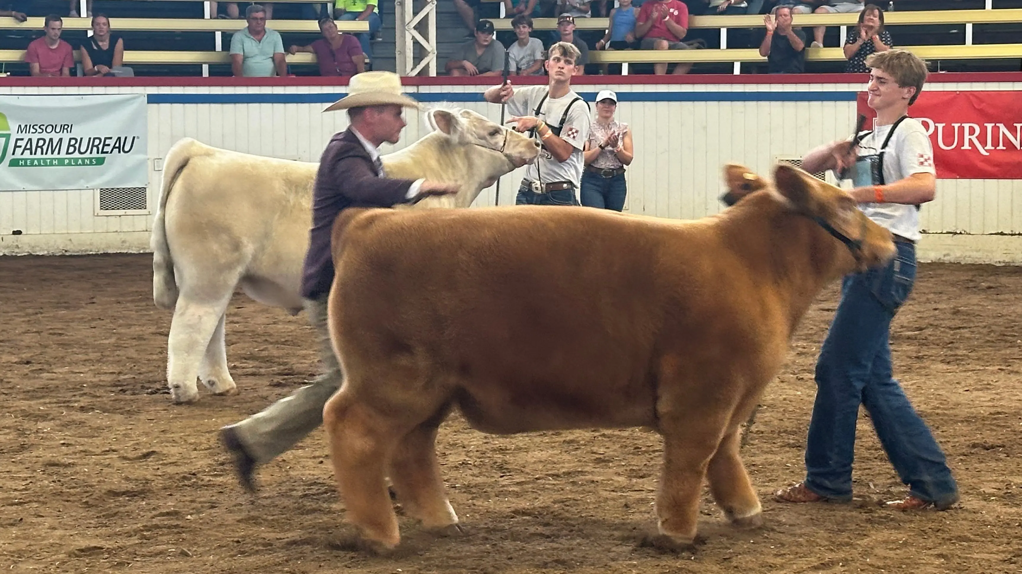 25-0812-gc-steer-drive-the-slap
