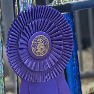 25-0808-msf-grand-champion-ribbon-tighter-crop