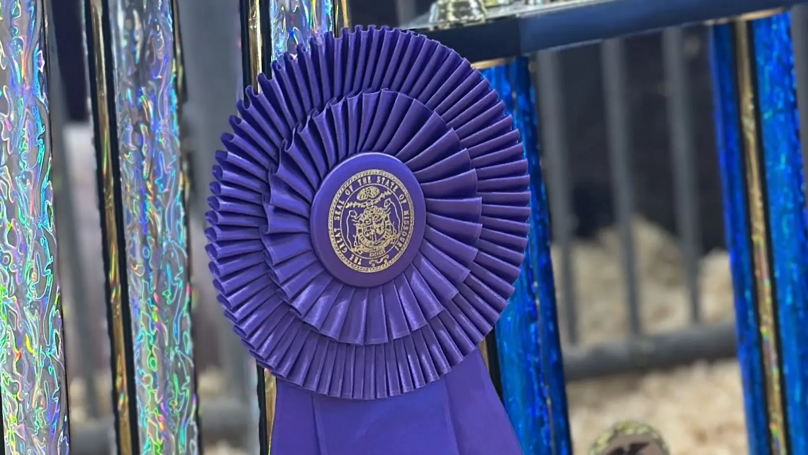 25-0808-msf-grand-champion-ribbon-tighter-crop
