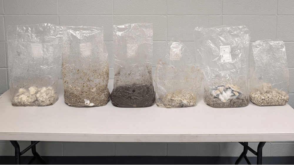 MARSHALL MAN ARRESTED AFTER DRUG BUST | KMMO - Marshall, MO
