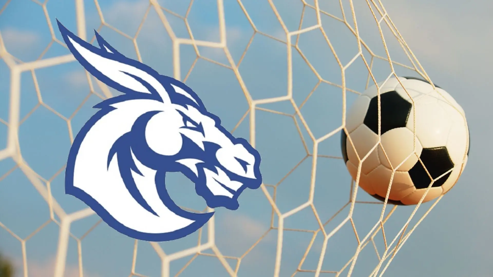 soccer-ball-in-back-of-net-with-lj-logo