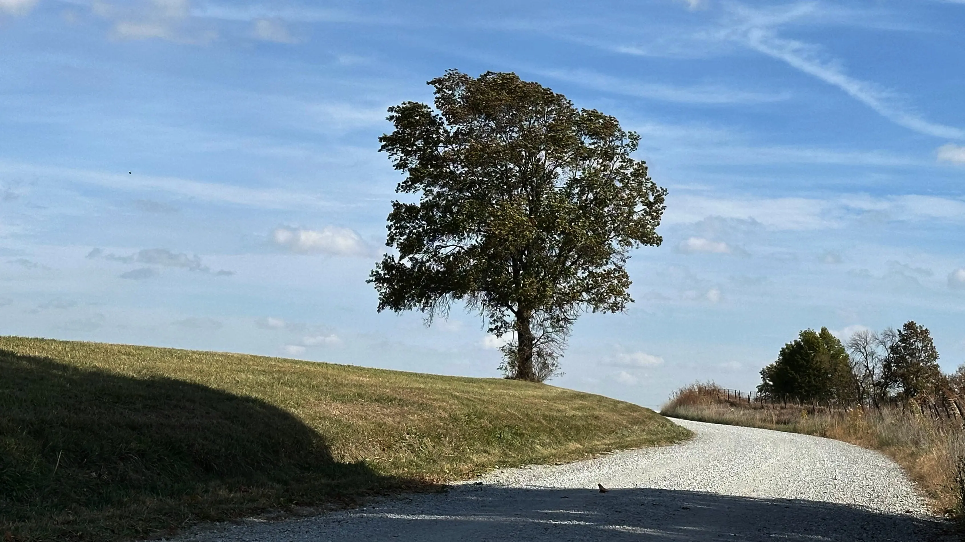 24-1029-159th-road-curving-around-tree-in-field