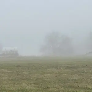 25-1223-farm-implements-shrouded-in-fog