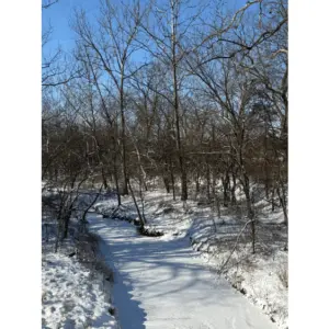 sedalia-snow-removal