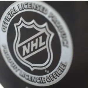 Official game puck from NHL^ National hockey league^ USA.