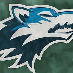 AI-generated image Winter scene minnesota timberwolves LOGO nba finals champions 2024 (This content was generated by an Artificial Intelligence (AI) system)