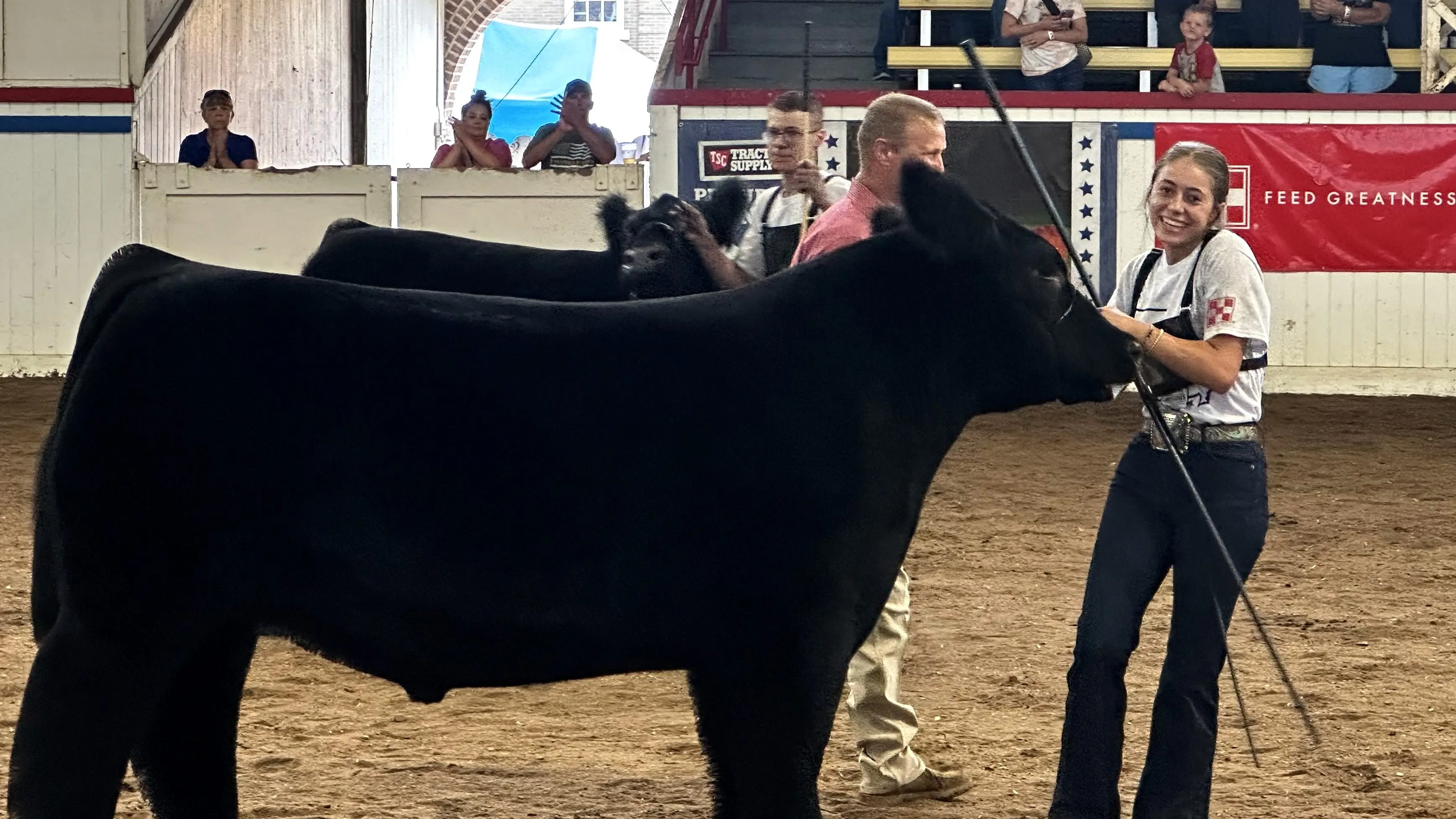 STEER FROM SAVANNAH STANDS AS GRAND CHAMPION