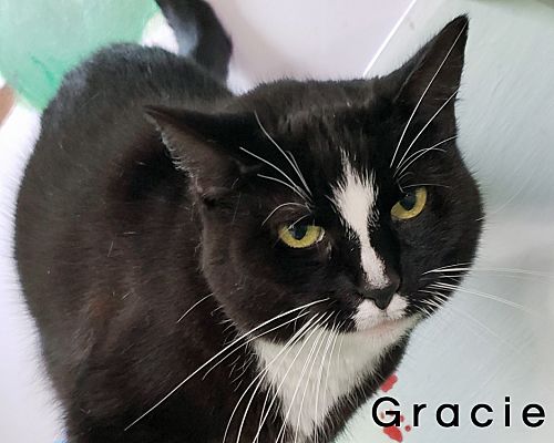 gracie_c