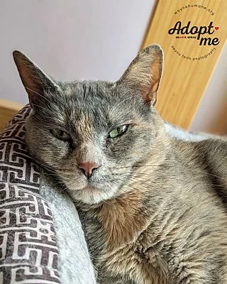sassy_c-3