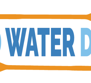 wild-water-derby-logo