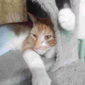 max_c