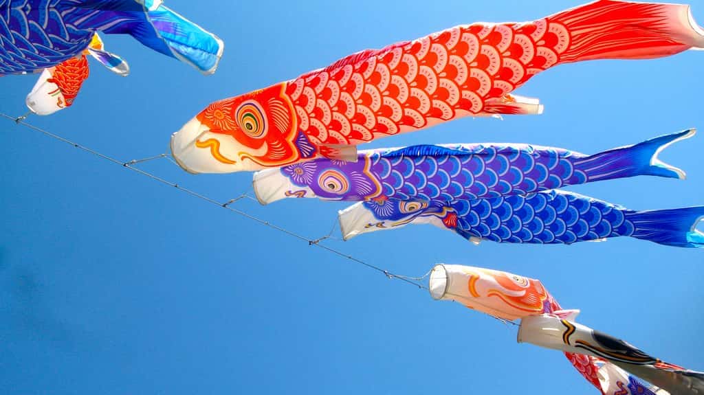 All events for Boys’ Day KINE 105 The Hawaiian Music Station