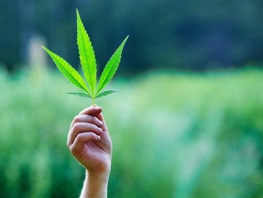 9bf3809a-6172-4f82-a003-d6ca790b8d78-hand_holding_marijuana_leaf
