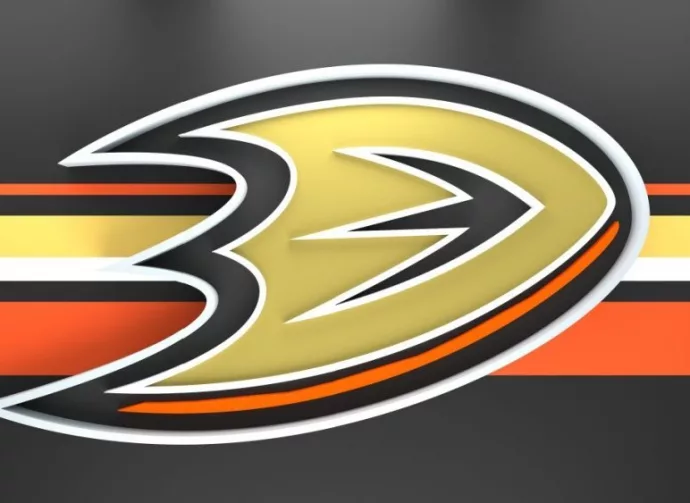 Emblem of the Anaheim Ducks. The Anaheim Ducks are a professional ice hockey team. Logo for presentation or infographics. 3D render. 3D Illustration