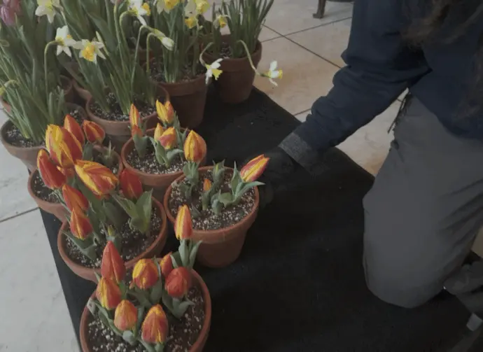 vlcsnap-2026-02-10-17h57m15s862772576