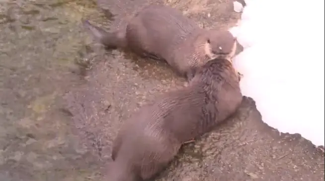 screenshot-2026-03-03-145156422508