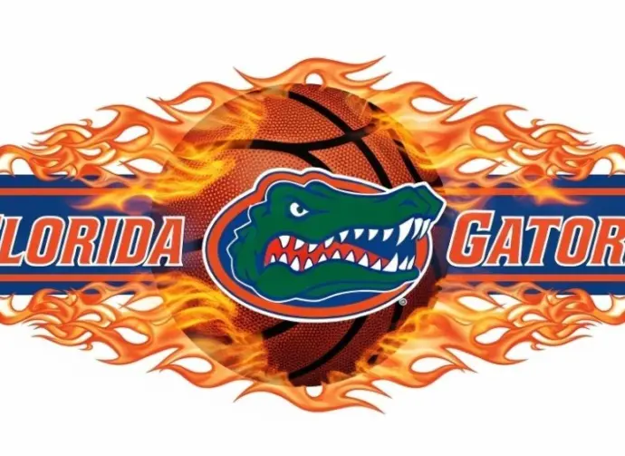 Florida Gators basketball logo with basketball and flames and put them in a border in a row