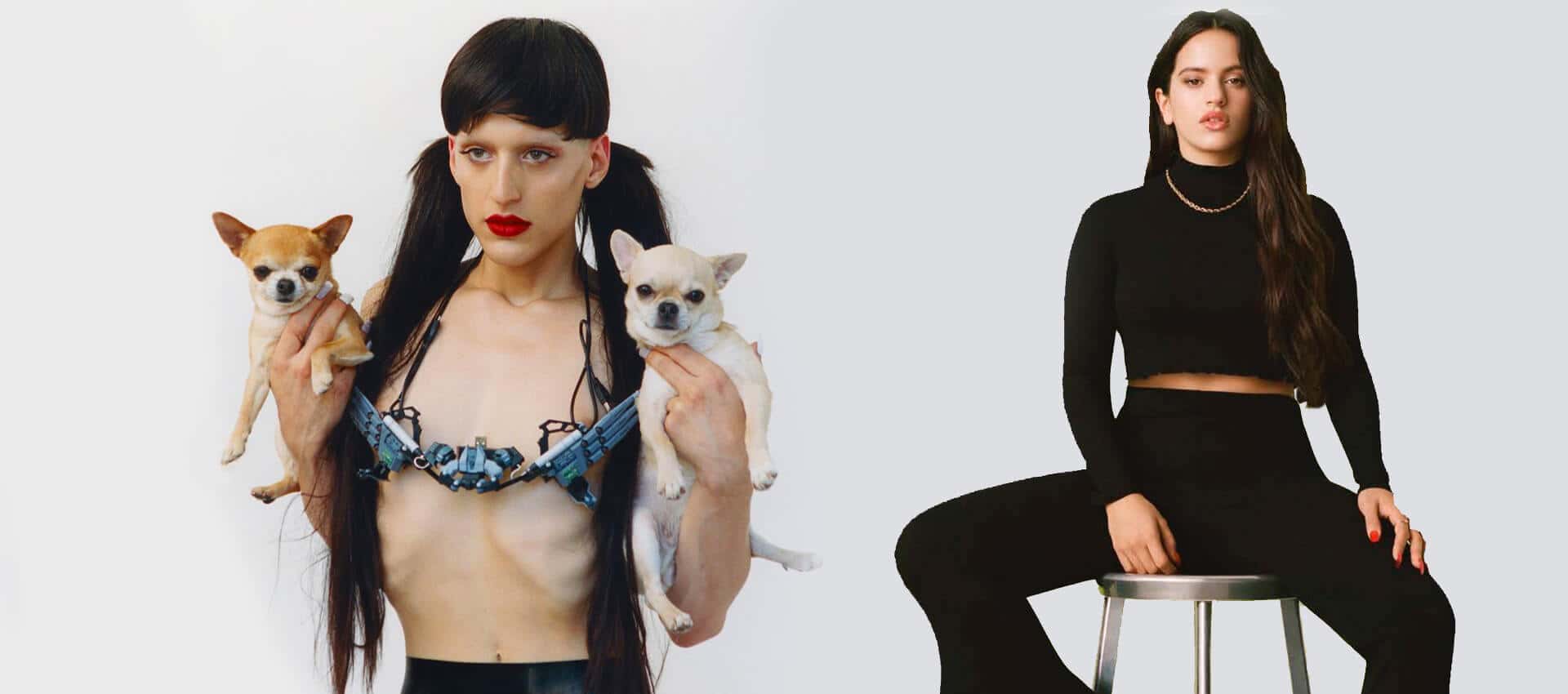 arca
