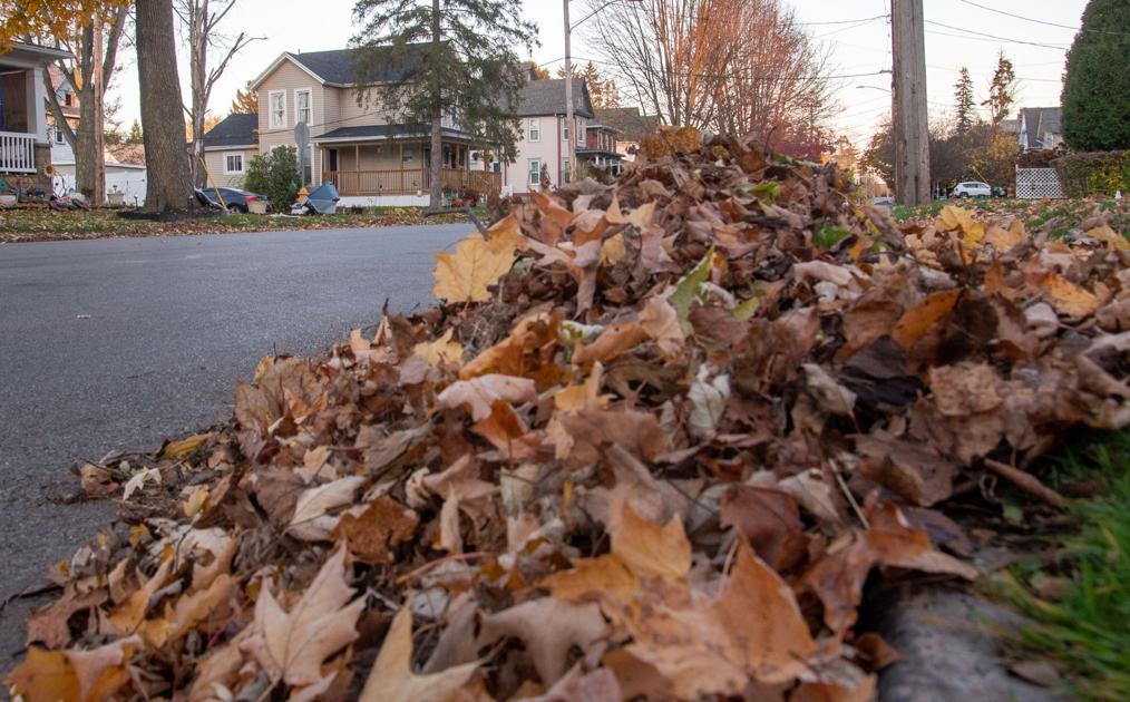 Leaf collection for Rochester residents to begin Monday Mega 97.5