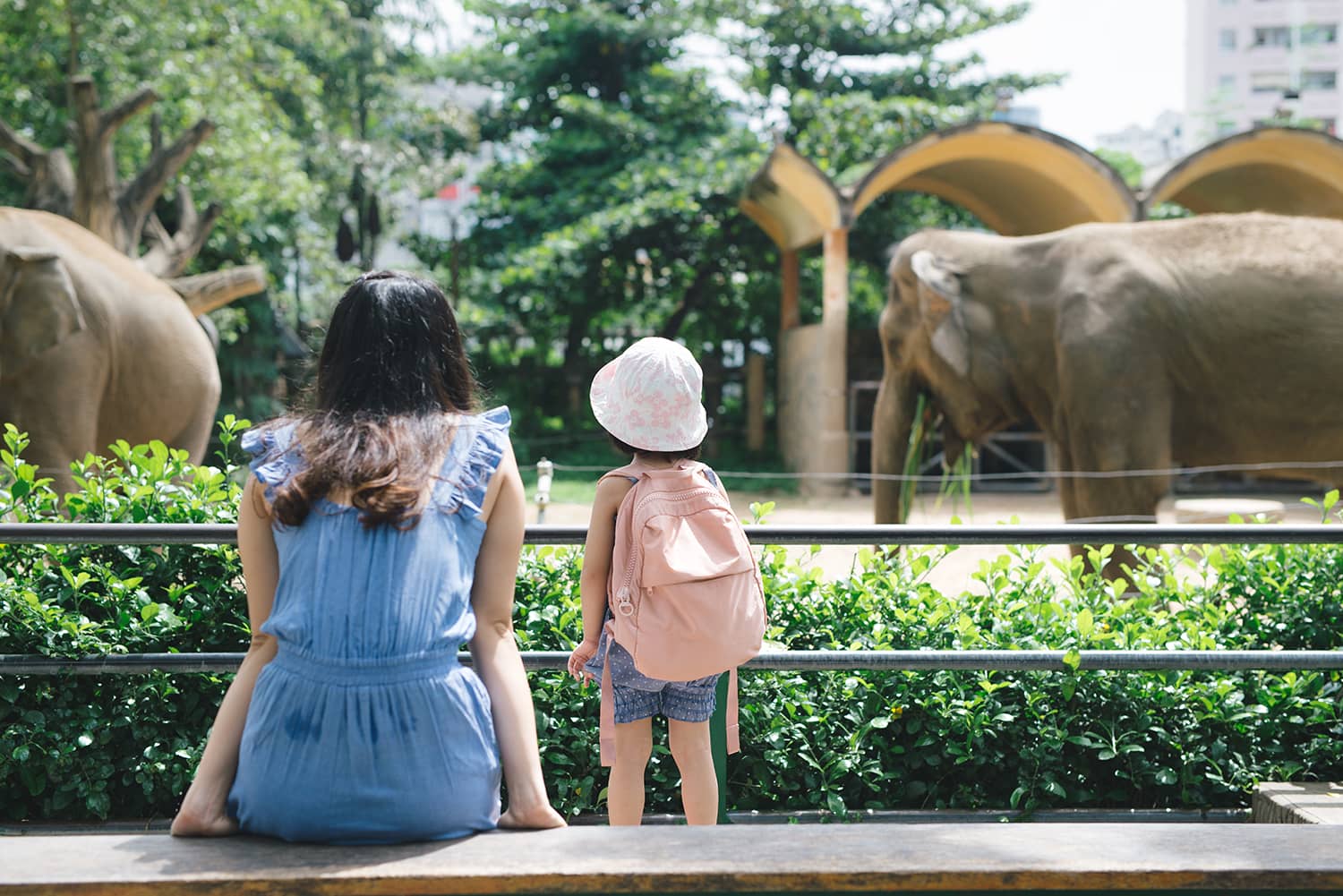 happy-mother-and-daughter-watching-and-feeding-elephants-in-zoo