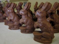 chocolate20easter20bunnies2c20candy2c20bunny_19429554_19703415_ver1-0