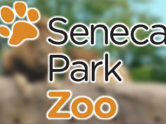 seneca-park-zoo-logo_4222087505