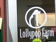 lollypop-farm-logos123338