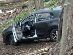 car-found-in-the-woods442580