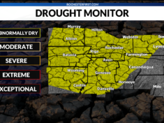 drought-2020314738