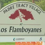 los-flamboyanes710049