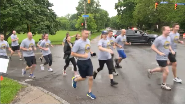 torch-run-2977188