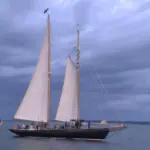 tall-boats201157