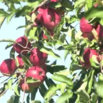 vlcsnap-2025-09-30-20h05m47s274160145