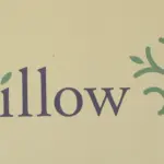 willow-domestic-violence120225